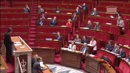 RENFORCEMENT DE LA LUTTE CONTRE LE SYSTÈME PROSTITUTIONNEL  - Vendredi 29 Novembre 2013