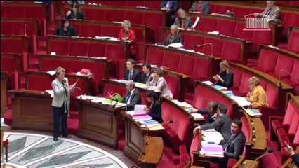 RENFORCEMENT DE LA LUTTE CONTRE LE SYSTÈME PROSTITUTIONNEL (suite) - Vendredi 29 Novembre 2013