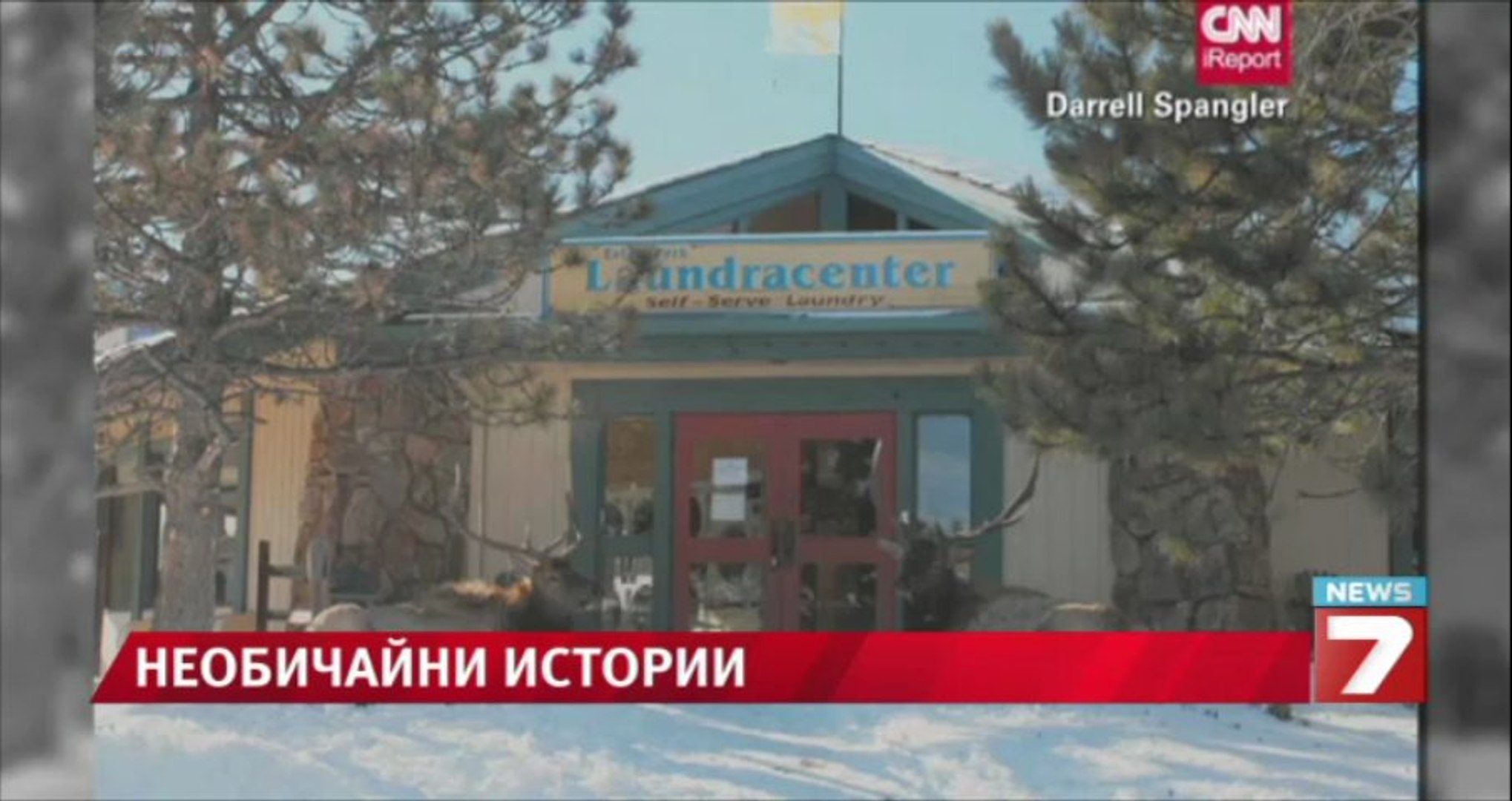 Коледната магия завладява САЩ