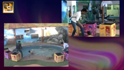 Gauhar Becomes NEW CAPTAIN Bigg Boss 7 29th November 2013 Episode