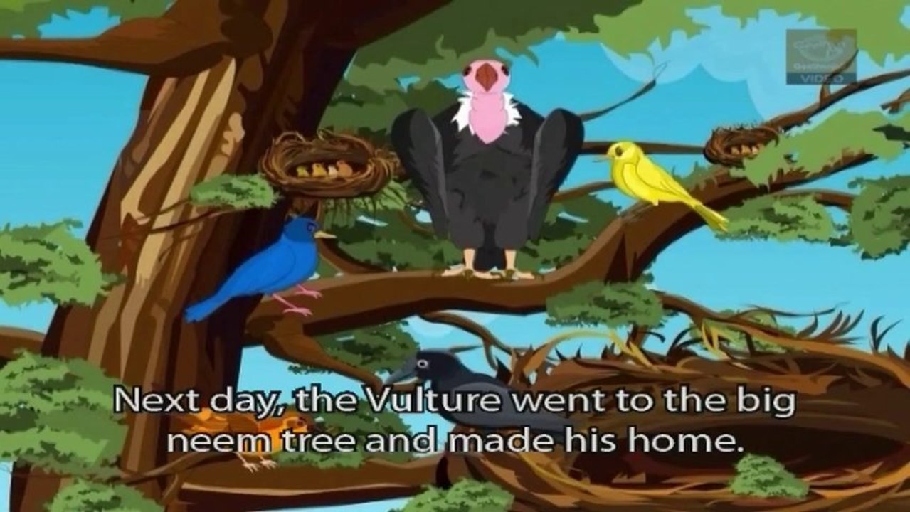 Jataka Tales - The Foolish Vulture - Birds Stories - Moral Stories for Children