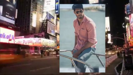 Beto Malfacini - Modelo Internacional