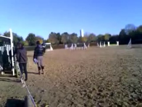 Blakehill Larry - CSO Coulonges - Club 3 - SF