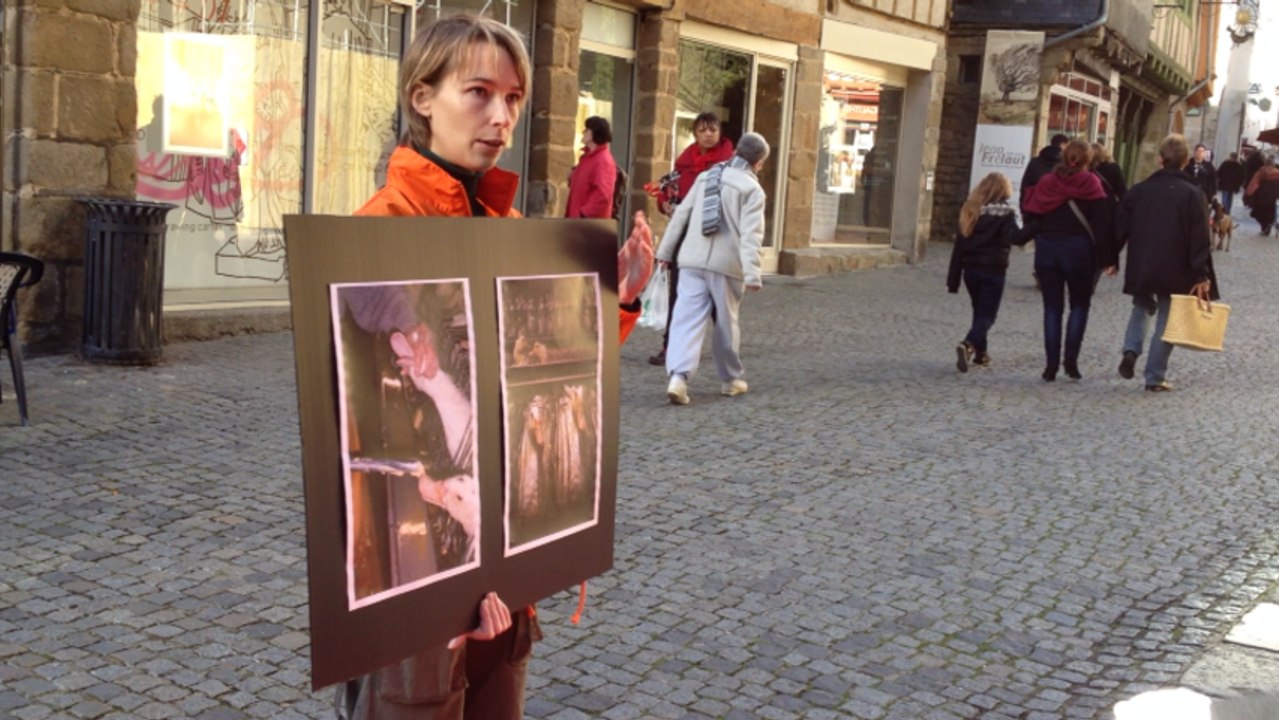 Manifestation contre le gavage des canards à foie gras