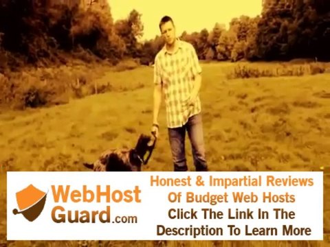 FREE WEB hosting - php, ASP.NET, perl, CGI, ruby,VPS hosting