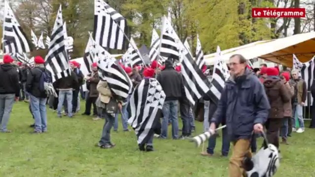 Bonnets rouges. Belle mobilisation à Carhaix