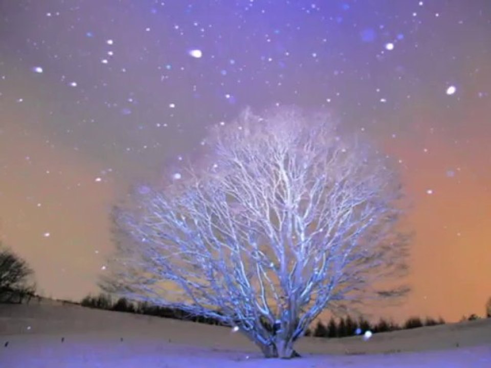 尾崎紀世彦 　雪が降る