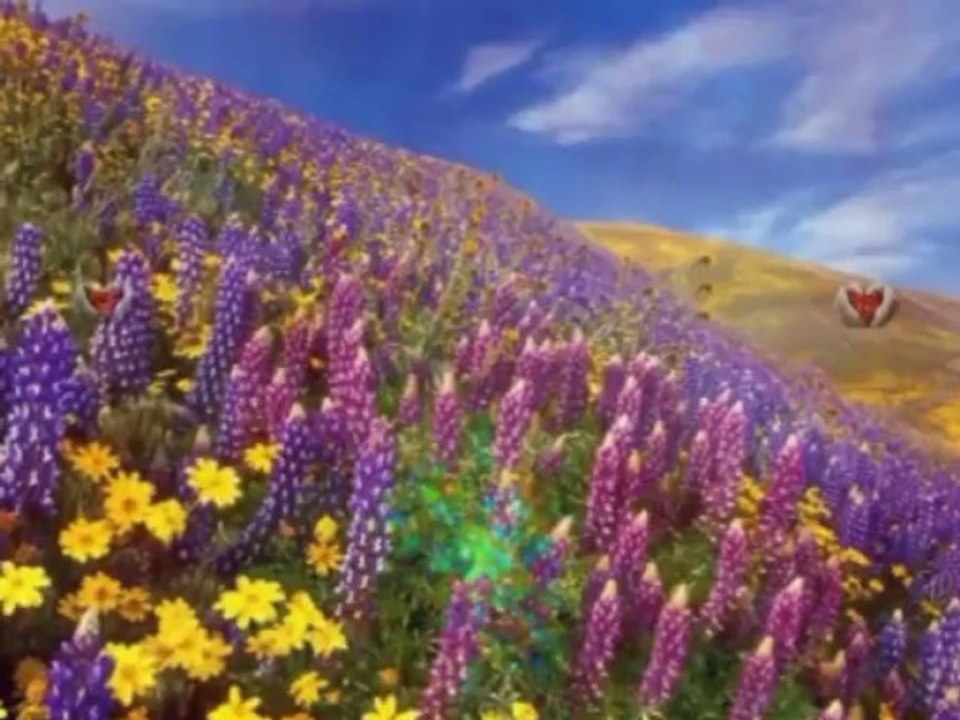 Lacrima de dor/Mircea Rusu