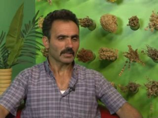 Bel Fıtığı Vardı