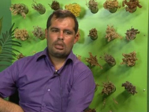 Kas Hastalığı Vardı