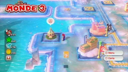 Soluce Super Mario 3D World : Niveau 3-Tampon