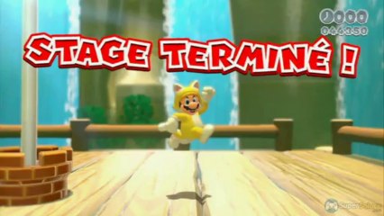 Soluce Super Mario 3D World : Niveau 1-4 Tampon