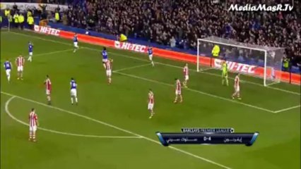 إيفرتون 4-0 ستوك سيتي - الأسبوع 13 - 30/11/2013
