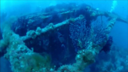 Plongée sur le Grec