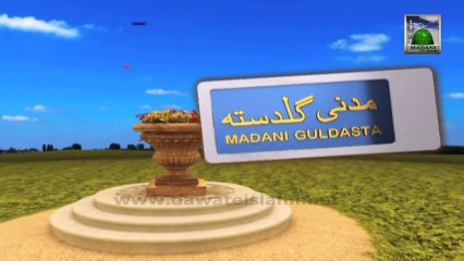 Useful Information 526 - Kanon Ka Qufl e Madina (Weekly Ijtima Ep 236)