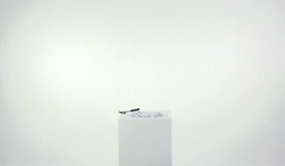 Rhino Shield Unbreakable Phone Protector