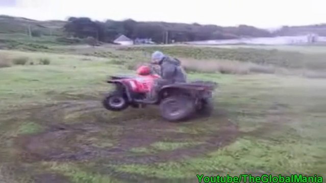 Quad Donuts Chronicles 1