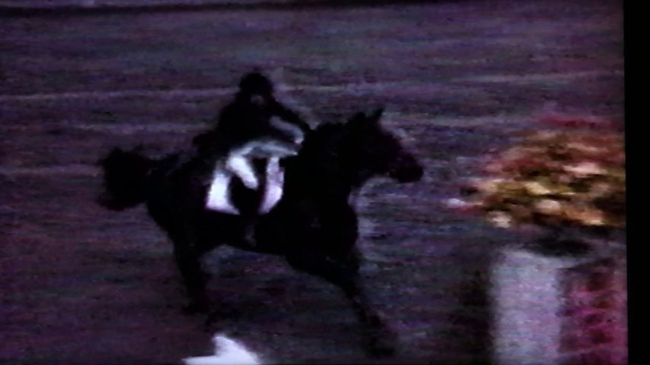 Horse Jumping Blooper
