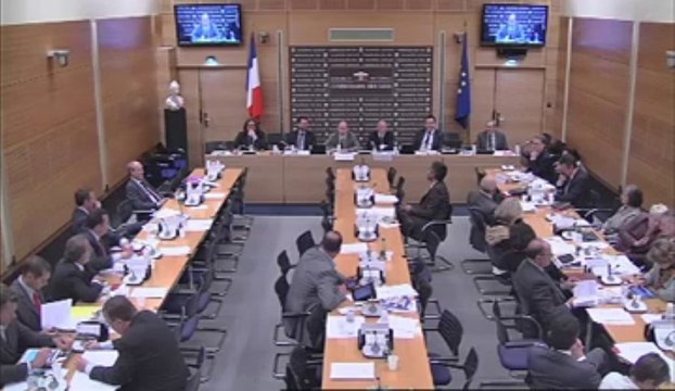 PPL sur le respect de la neutralité religieuse dans les entreprises - Mercredi 29 Mai 2013