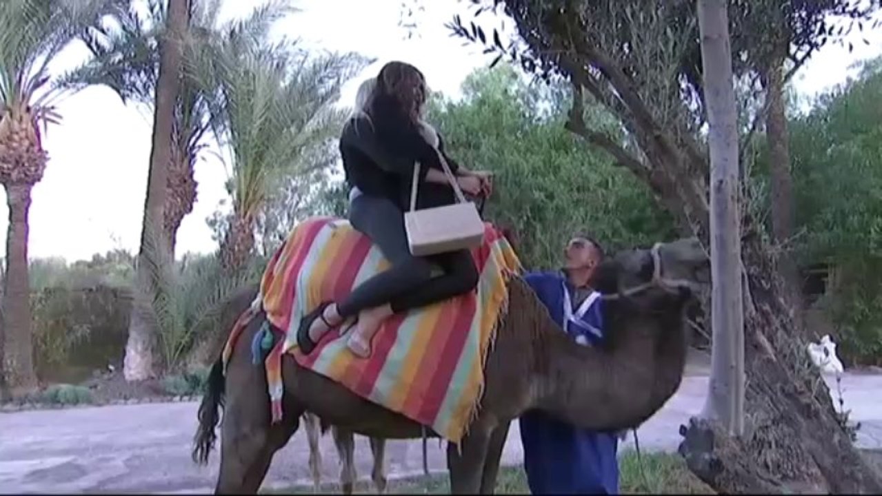 Quand Nabilla monte pour la première fois sur le dos d'un dromadaire! Hilarant!