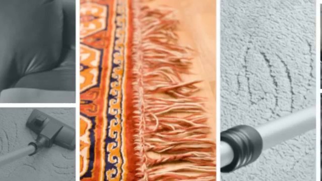 Clean Pros Santa Monica - (310) 504-2838