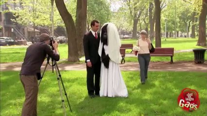 Gorilla Bride So Funny Must Watch By Hot Desi video