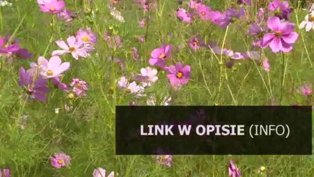 instrukcja obsługi vw passat b6 chomikuj