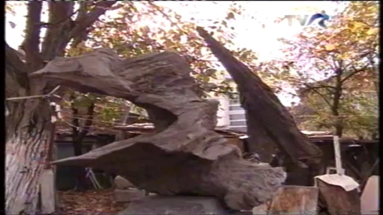 VTS_02_1