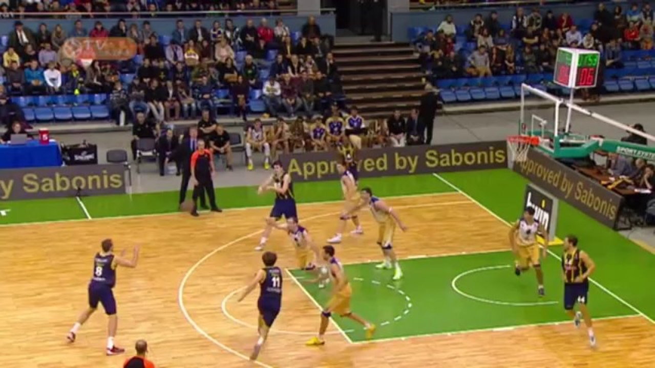 Bjelica Nemanja