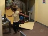 Dinosaure T-Rex en entretien d'embauche (Caméra cachée)