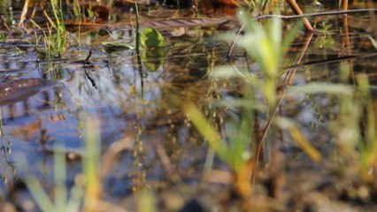 Phi (Concours Infracourt)