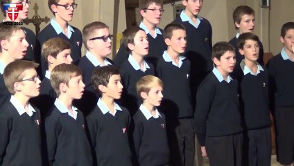 PCCB - Dio del cello (Marzi)- Joigny Nov2013