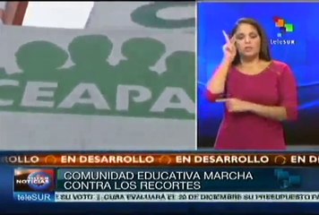 Marea verde exige la dimisión de ministro Wert