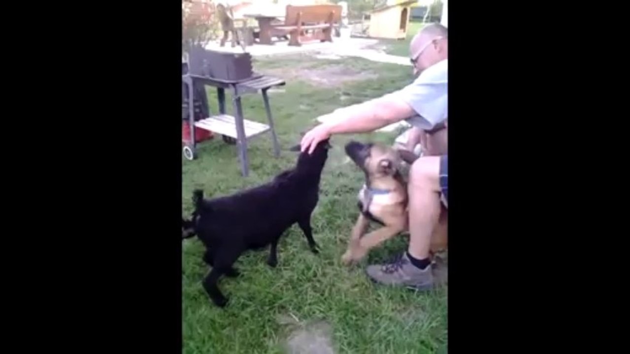 Be Aware Finn & the Kamerun-Gang