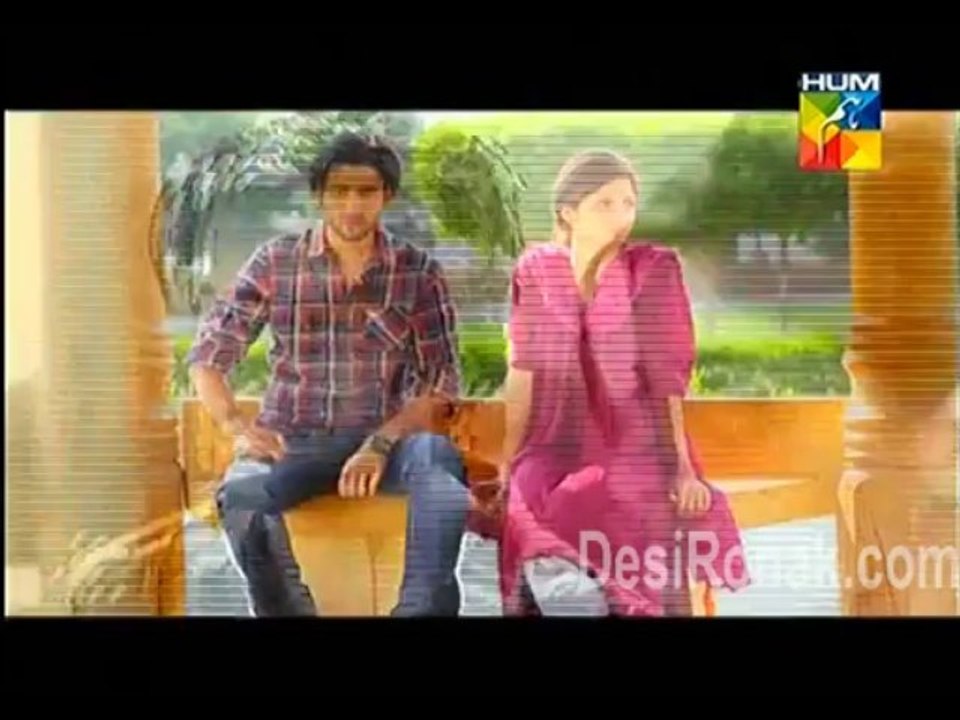 shareek 3 1