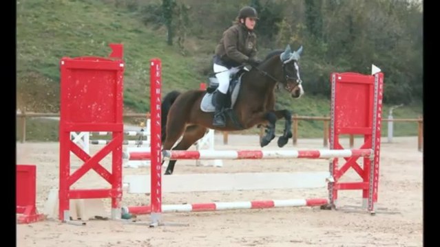 Concours le 24 novembre 2013 à Chazey sur Ain