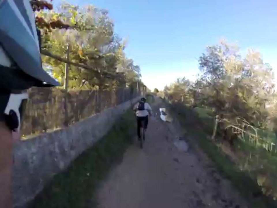 Palmela parte 3
