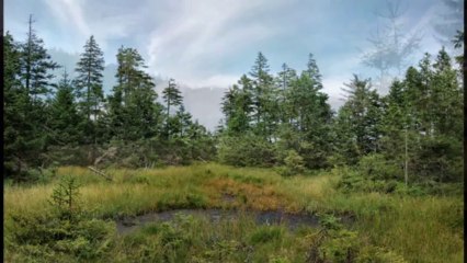 HALNY WIATR - Ireneusz Lament