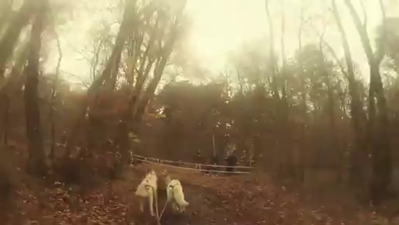 montage beloeil 1 YT