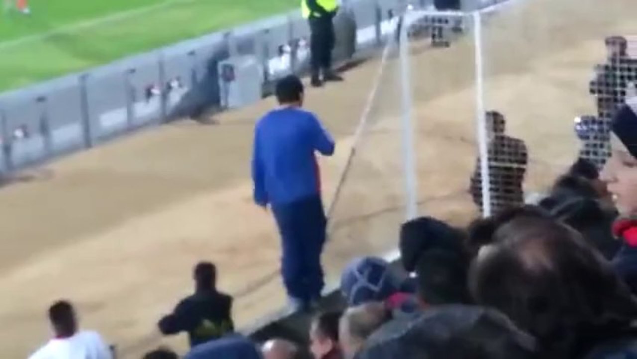 Emplastro insulta Pinto da Costa