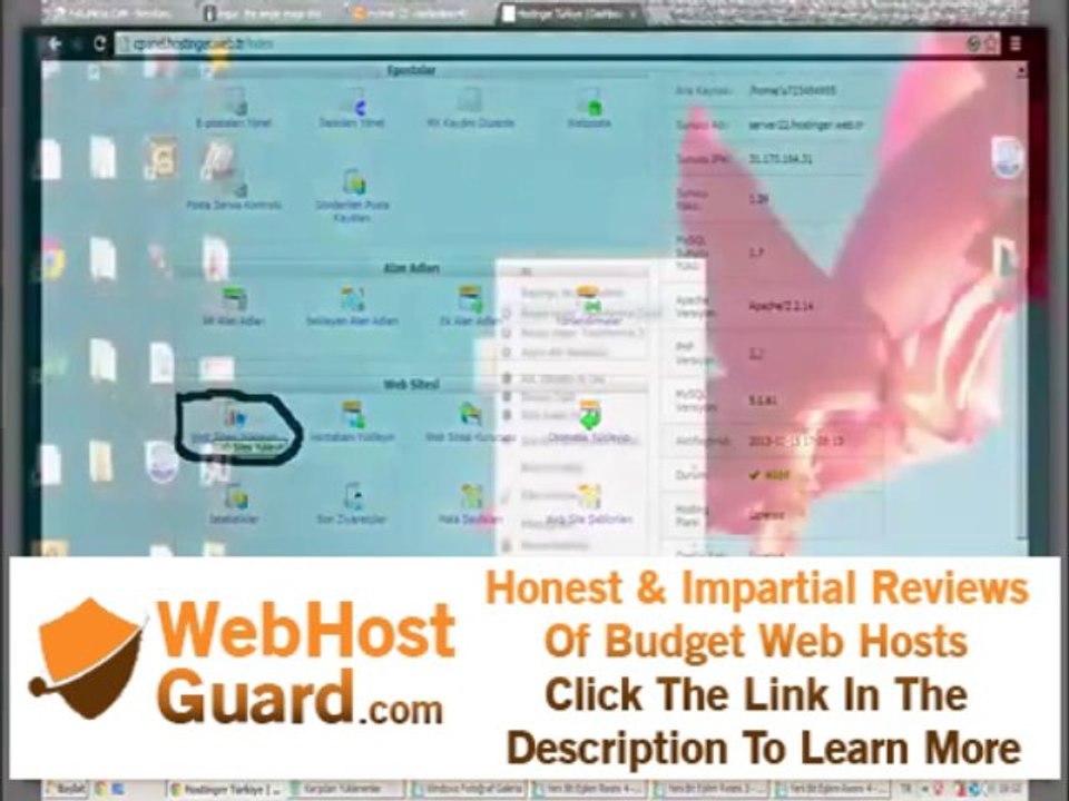 Virtual hosting free domain