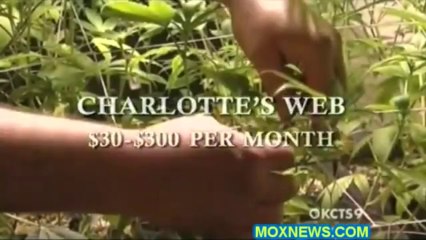 Marijuana Refugees! "I Must Say! This Is Actually A Miracle Plant! Marijuana"