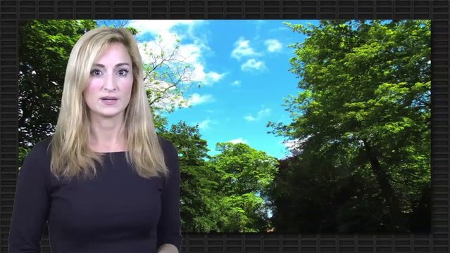 Die Stechmücke Zufall oder Wunder?