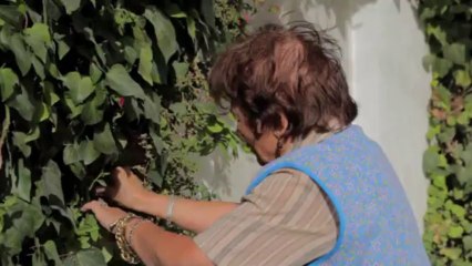 Radhia Tunisienne: Un Nom Significatif