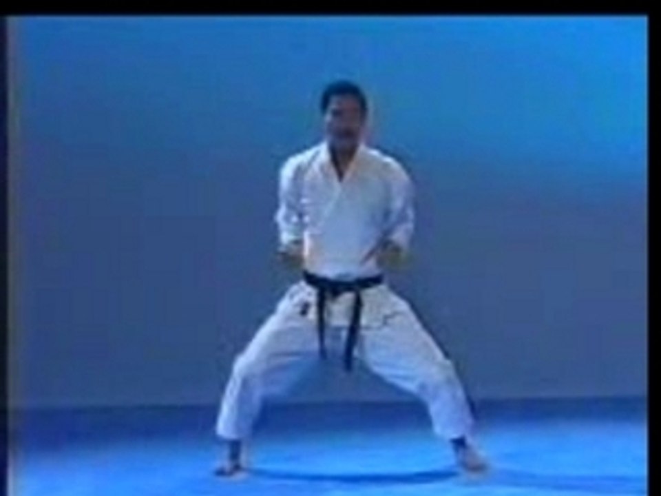 KARATE - KATA - meikyo