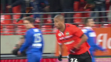 Ligue 1 - Tous les buts de la 15ème journée - 2013/2014