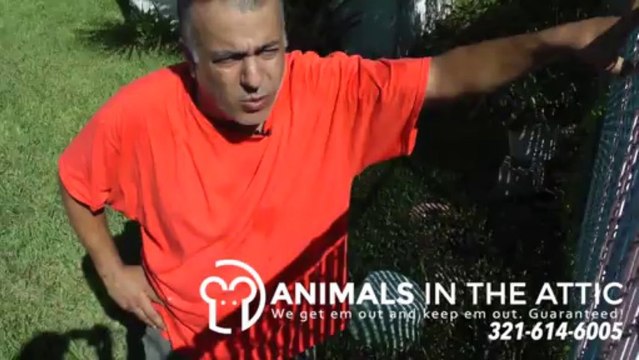 Rats & Water, Rodent Removal & Extermination Melbourne FL 321-614-6005 Wildlife Control