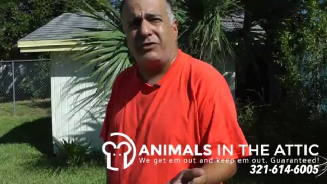 Rat Removal, Wildlife Control, Rodent Extermination, Eliminate Food Sources, Melbourne FL 321-614-6005