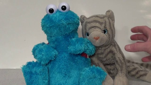 Miley Cyrus Cookie Monster PARODY of Miley Cyrus Wrecking Ball Scene and the Cat