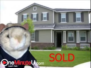 Mzondi Lungu Short Sale or Foreclosue